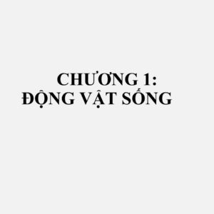 0105: Gia cầm sống, gồm các loại gà thuộc loài Gallus domesticus, vịt, ngan, ngỗng, gà tây và gà lôi