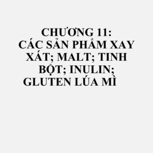 1102: Bột ngũ cốc, trừ bột mì hoặc bột meslin