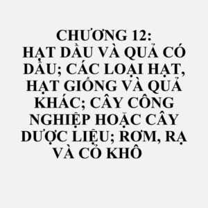 1201: Đậu tương, đã hoặc chưa vỡ mảnh
