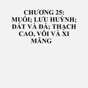 2501: Muối (kể cả muối thực phẩm và muối đã bị làm biến tính) và natri clorua tinh khiết, có hoặc không ở trong dung dịch nước hoặc có chứa chất chống đóng bánh hoặc chất làm tăng độ chẩy; nước biển