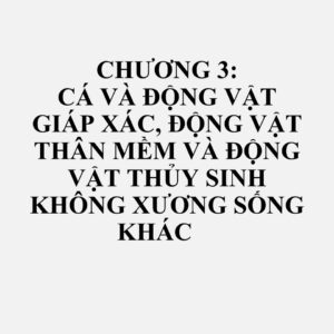 0308: Động vật thủy sinh không xương sống trừ động vật giáp xác và động vật thân mềm, sống, tươi, ướp lạnh, đông lạnh, khô, muối hoặc ngâm nước muối; động vật thủy sinh không xương sống hun khói trừ động vật giáp xác và động vật thân mềm, đã hoặc chưa làm chín trước hoặc trong quá trình hun khói