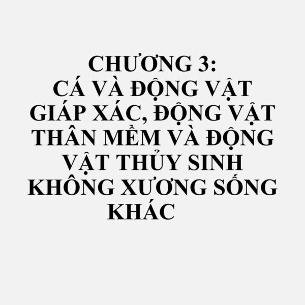 0303: Cá, đông lạnh, trừ phi-lê cá (fillets) và các loại thịt cá khác thuộc nhóm 03.04