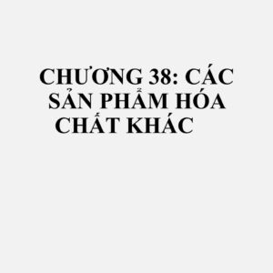 3801: Graphit nhân tạo; graphit dạng keo hoặc dạng bán keo; các chế phẩm làm từ graphit hoặc carbon khác ở dạng bột nhão, khối, tấm hoặc ở dạng bán thành phẩm khác