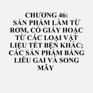 4601: Dây tết bện và các sản phẩm tương tự làm bằng vật liệu tết bện, đã hoặc chưa ghép thành dải; các vật liệu tết bện, các dây bện và các sản phẩm tương tự bằng vật liệu tết bện, đã kết lại với nhau trong các tao dây song song hoặc đã được dệt, ở dạng tấm, có hoặc không ở dạng thành phẩm (ví dụ, chiếu, thảm, mành)
