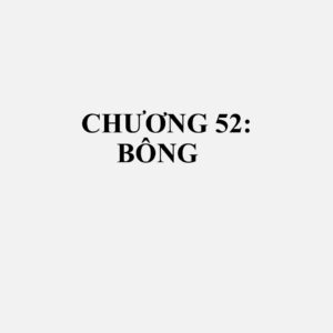 52010000: Xơ bông, chưa chải thô hoặc chưa chải kỹ