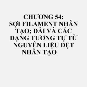 5401: Chỉ khâu làm từ sợi filament nhân tạo, đã hoặc chưa đóng gói để bán lẻ