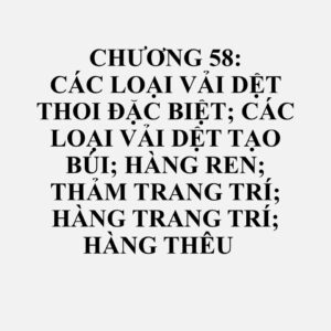 5811: Các sản phẩm dệt đã chần (quilted) dạng chiếc, bao gồm một hoặc nhiều lớp vật liệu dệt kết hợp với lớp đệm bằng cách khâu hoặc cách khác, trừ hàng thêu thuộc nhóm 58.10
