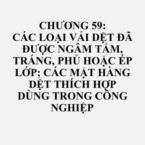 5901: Vải dệt được tráng gôm hoặc hồ tinh bột, dùng để bọc ngoài bìa sách hoặc loại tương tự; vải can; vải canvas đã xử lý để vẽ; vải hồ cứng và các loại vải dệt đã được làm cứng tương tự để làm cốt mũ