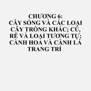 0601: Củ, thân củ, rễ củ, thân ống và thân rễ, ở dạng ngủ, dạng sinh trưởng hoặc ở dạng hoa; cây và rễ rau diếp xoăn, trừ các loại rễ thuộc nhóm 12.12