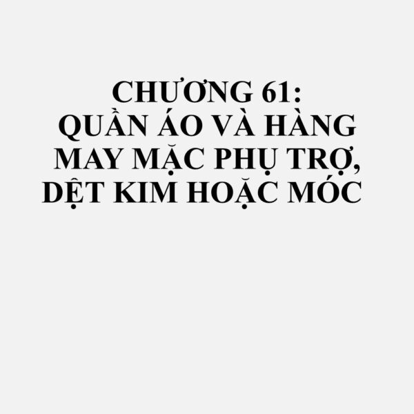 6101: Áo khoác dài, áo khoác mặc khi đi xe (car-coat), áo khoác không tay, áo choàng không tay, áo khoác có mũ (kể cả áo jacket trượt tuyết), áo gió, áo jacket chống gió và các loại tương tự, dùng cho nam giới hoặc trẻ em trai, dệt kim hoặc móc, trừ các loại thuộc nhóm 61.03