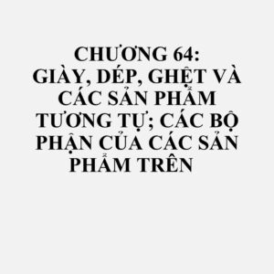 6401: Giày, dép không thấm nước có đế ngoài và mũ giày bằng cao su hoặc plastic, mũ giày, dép không gắn hoặc lắp ghép với đế bằng cách khâu, tán đinh, xoáy ốc, cắm đế hoặc các cách tương tự