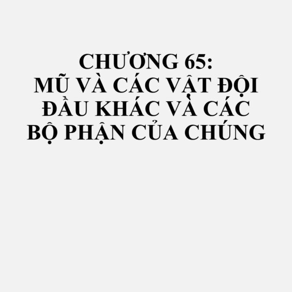 65010000: Các loại thân mũ hình nón, hình chuông bằng phớt (nỉ, dạ), chưa dựng theo khuôn, chưa làm vành; thân mũ chóp bằng và thân mũ hình trụ (kể cả thân mũ hình trụ đa giác), bằng phớt (nỉ, dạ)