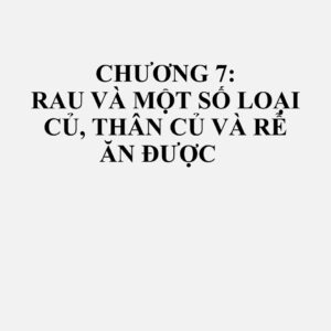0701: Khoai tây, tươi hoặc ướp lạnh