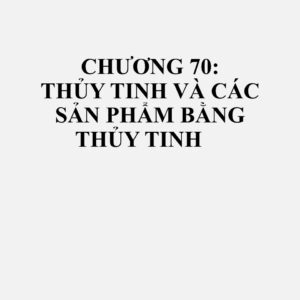 7018: Hạt bi thủy tinh, thủy tinh giả ngọc trai, thủy tinh giả đá quý hoặc đá bán quý và các đồ vật nhỏ tương tự bằng thủy tinh, và các sản phẩm làm từ các loại trên trừ đồ trang sức làm bằng chất liệu khác; mắt thủy tinh trừ các bộ phận cơ thể giả khác; tượng nhỏ và các đồ trang trí khác bằng thủy tinh được gia công bằng đèn xì (lamp-worked), trừ đồ trang sức làm bằng chất liệu khác; vi cầu thủy tinh có đường kính không quá 1 mm