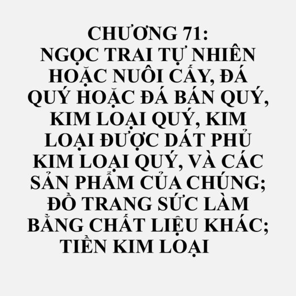 7104: Đá quý hoặc đá bán quý tổng hợp hoặc tái tạo, đã hoặc chưa gia công hoặc phân loại nhưng chưa xâu thành chuỗi, chưa gắn hoặc nạm dát; đá quý hoặc đá bán quý tổng hợp hoặc tái tạo chưa phân loại, đã được xâu thành chuỗi tạm thời để tiện vận chuyển