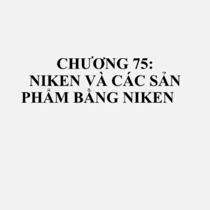 7501: Sten niken, oxit niken thiêu kết và các sản phẩm trung gian khác của quá trình luyện niken