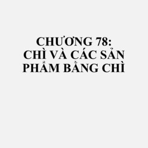 7801: Chì chưa gia công
