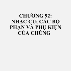 92060000: Nhạc cụ thuộc bộ gõ (ví dụ, trống, mộc cầm, chũm chọe, castanet, chuông gõ (maracas))